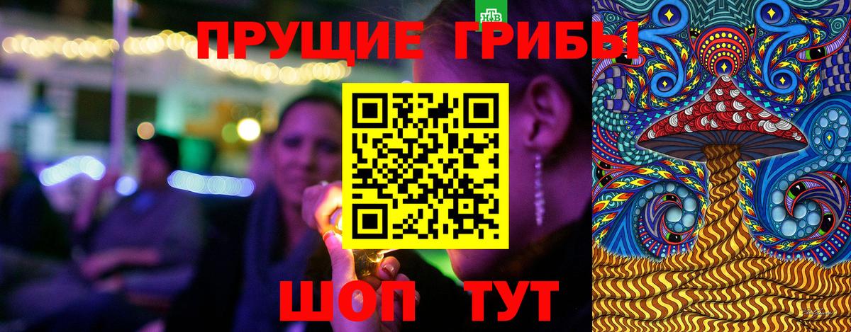 Галлюциногенные грибы Psilocybe Лиски