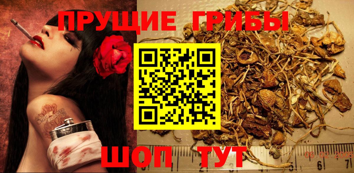 Галлюциногенные грибы мухоморы  Вход с VPN  Лиски 